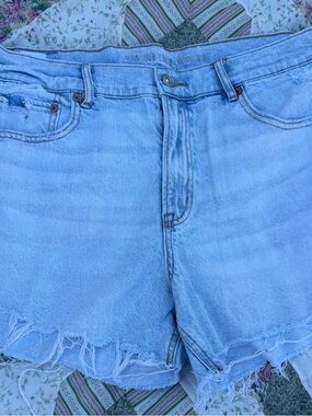 American Eagle Outfitters Strigid Relaxed Short